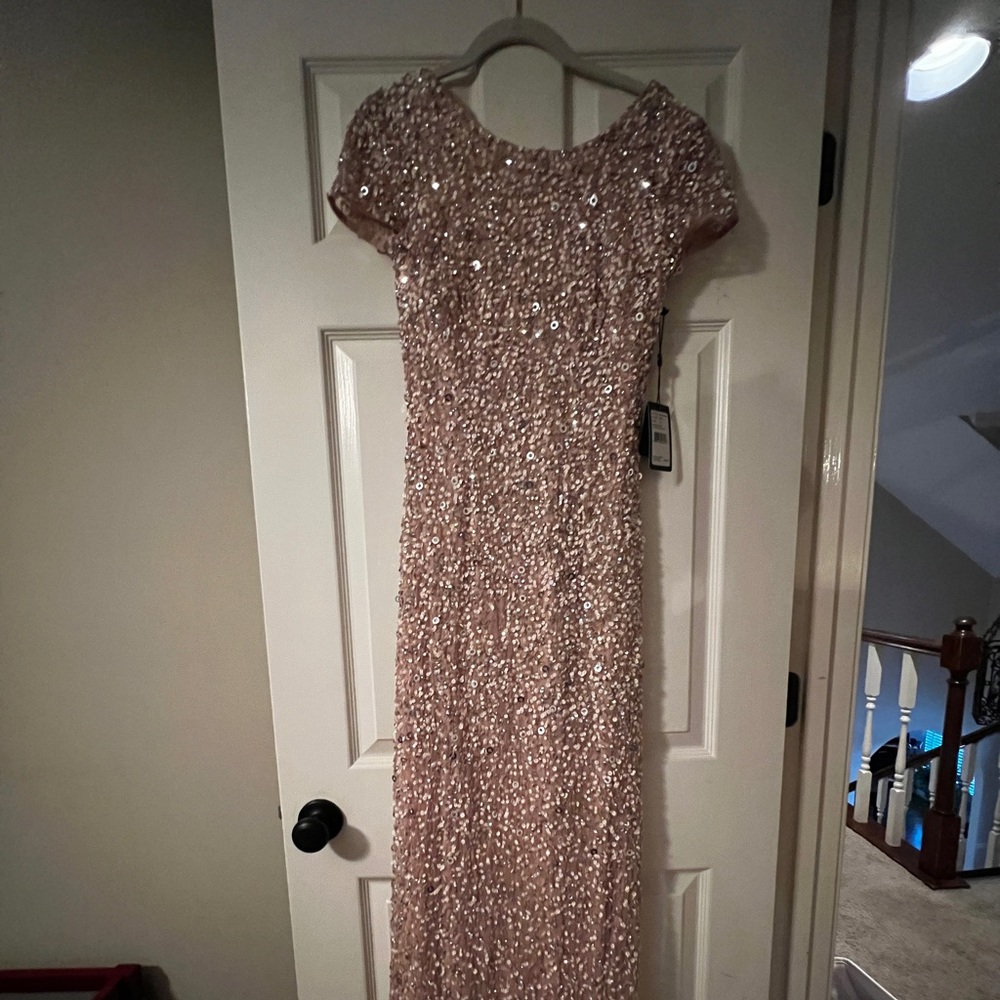 COPY - Adrianna Papell Size 6 Blush Sequin Scoop Neck Gown NEW